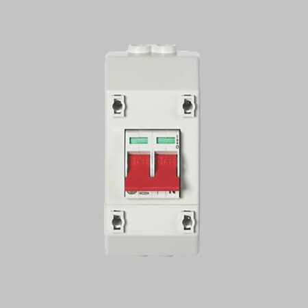 RECSW2S Wylex 100A DP Isolator